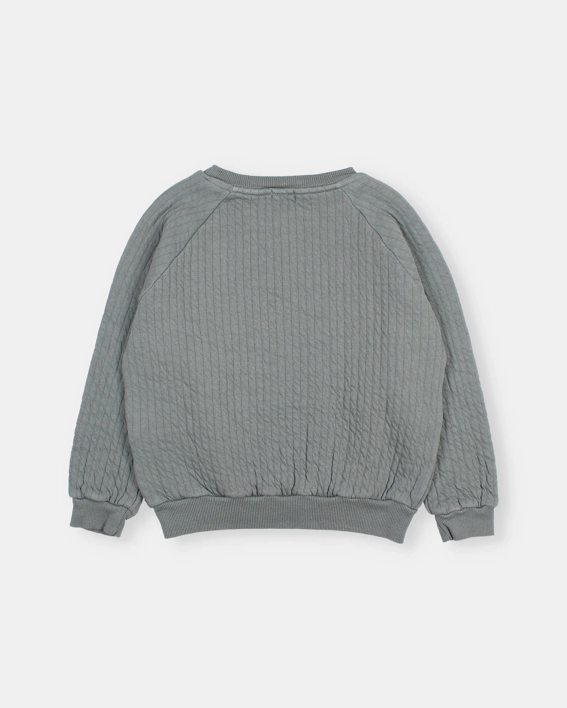 6674-PADDED SWEATSHIRT-Elephant