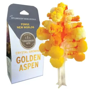 Aspen Crystal Growing Kit