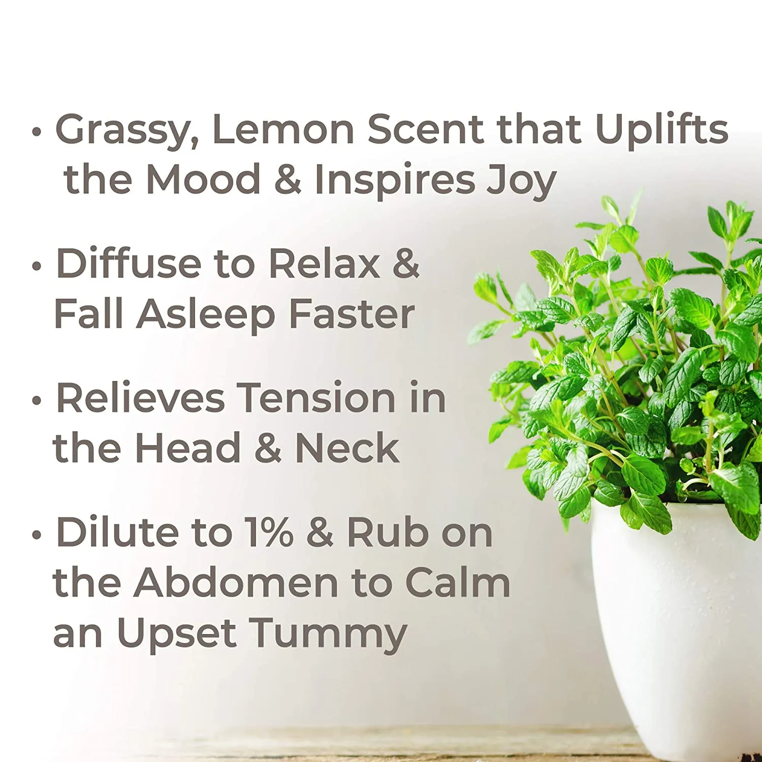 Plant Therapy Melissa Organic Essential Oil