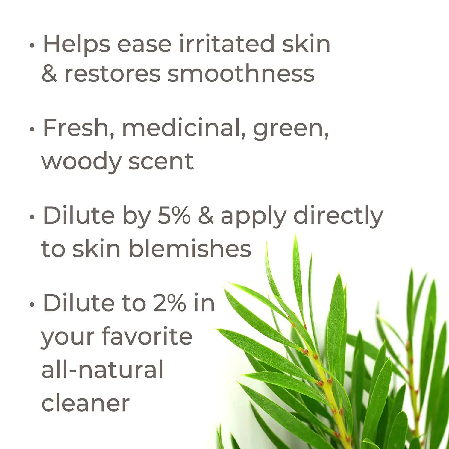 Plant Therapy Tea Tree Organic Essential Oil